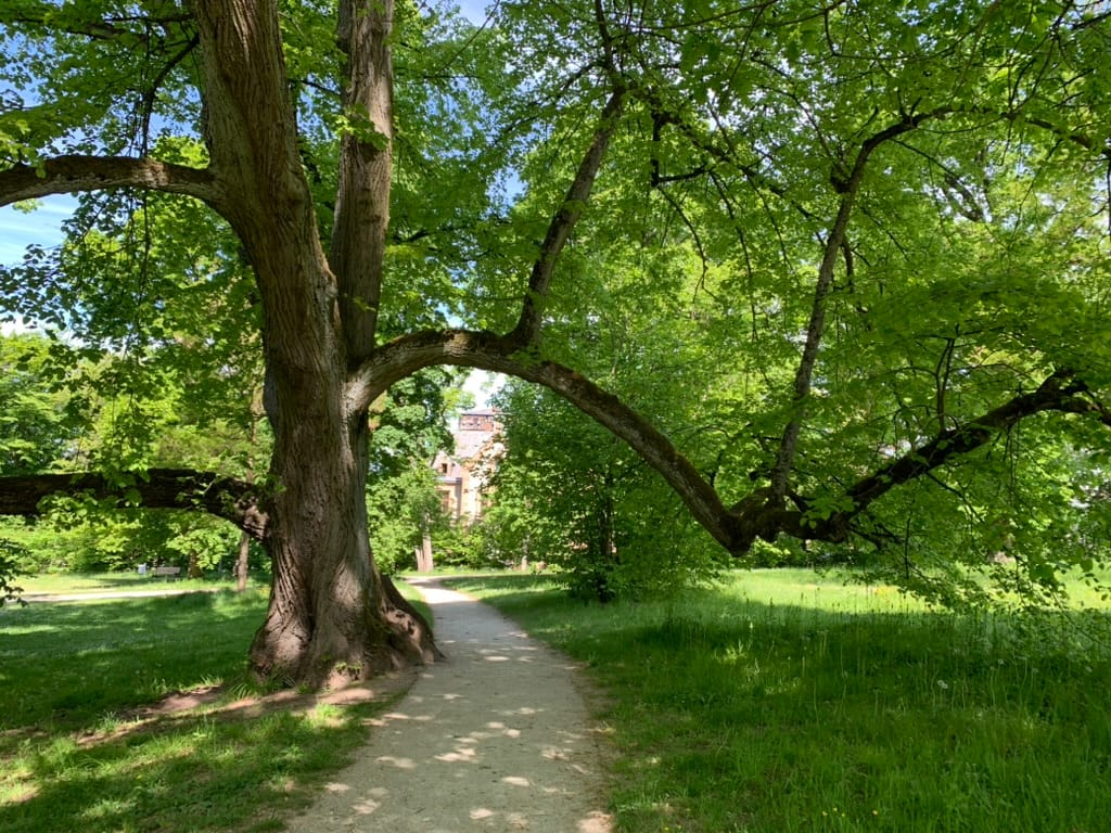 Hofgarten