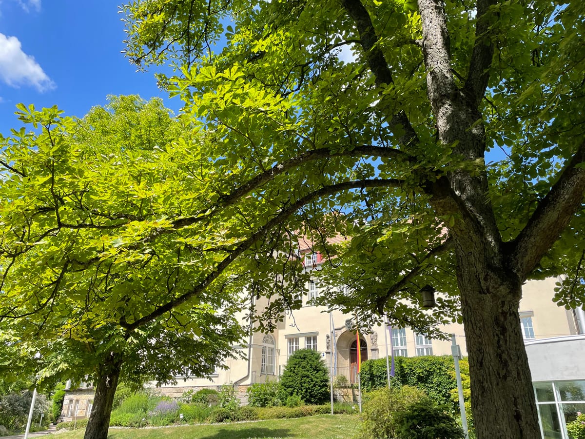 Naturkundemuseum