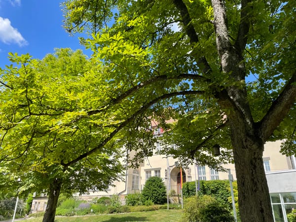 Naturkundemuseum