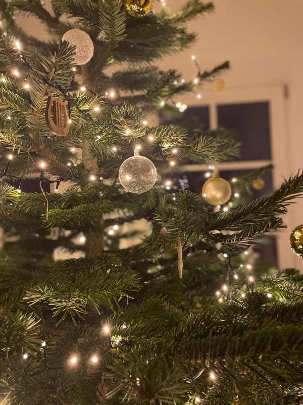 Ferienwohnung ab Dezember 2025 buchbar